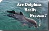 Are Dolphins Really Persons? 1